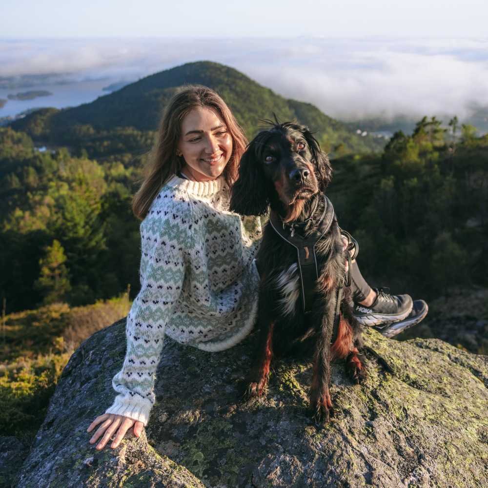 Strikk The Look: Drifa-genser teblad