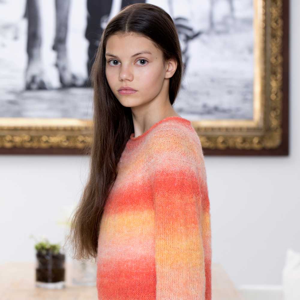 Strikk The Look: Karusell-genser