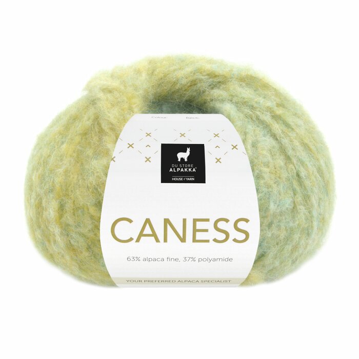 2504 Caribbean Kiwi