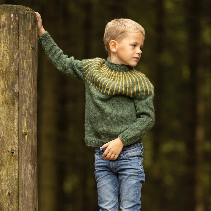 Strikk The Look: Aldis-genser, grønn