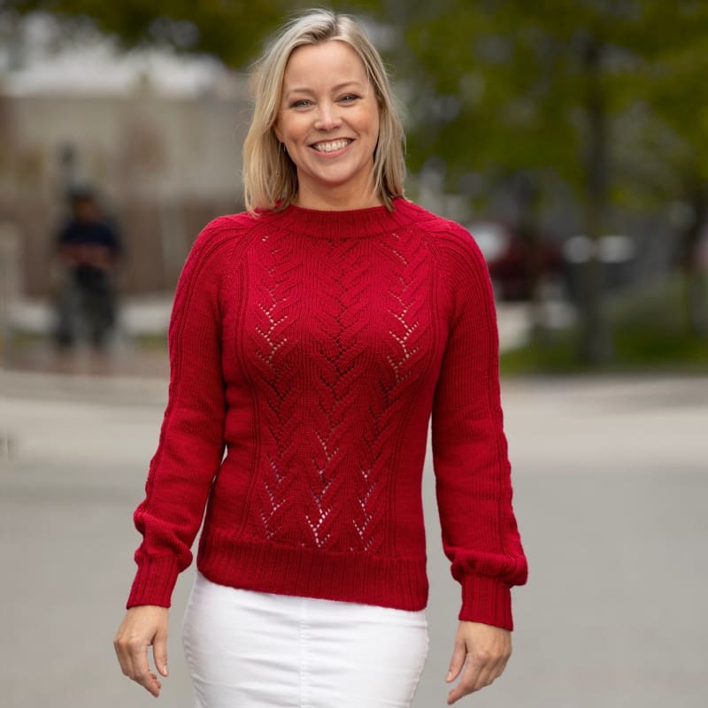 Strikk The Look: Ravn-genser