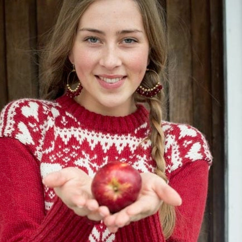 Strikk The Look: Reinsdyr-genser